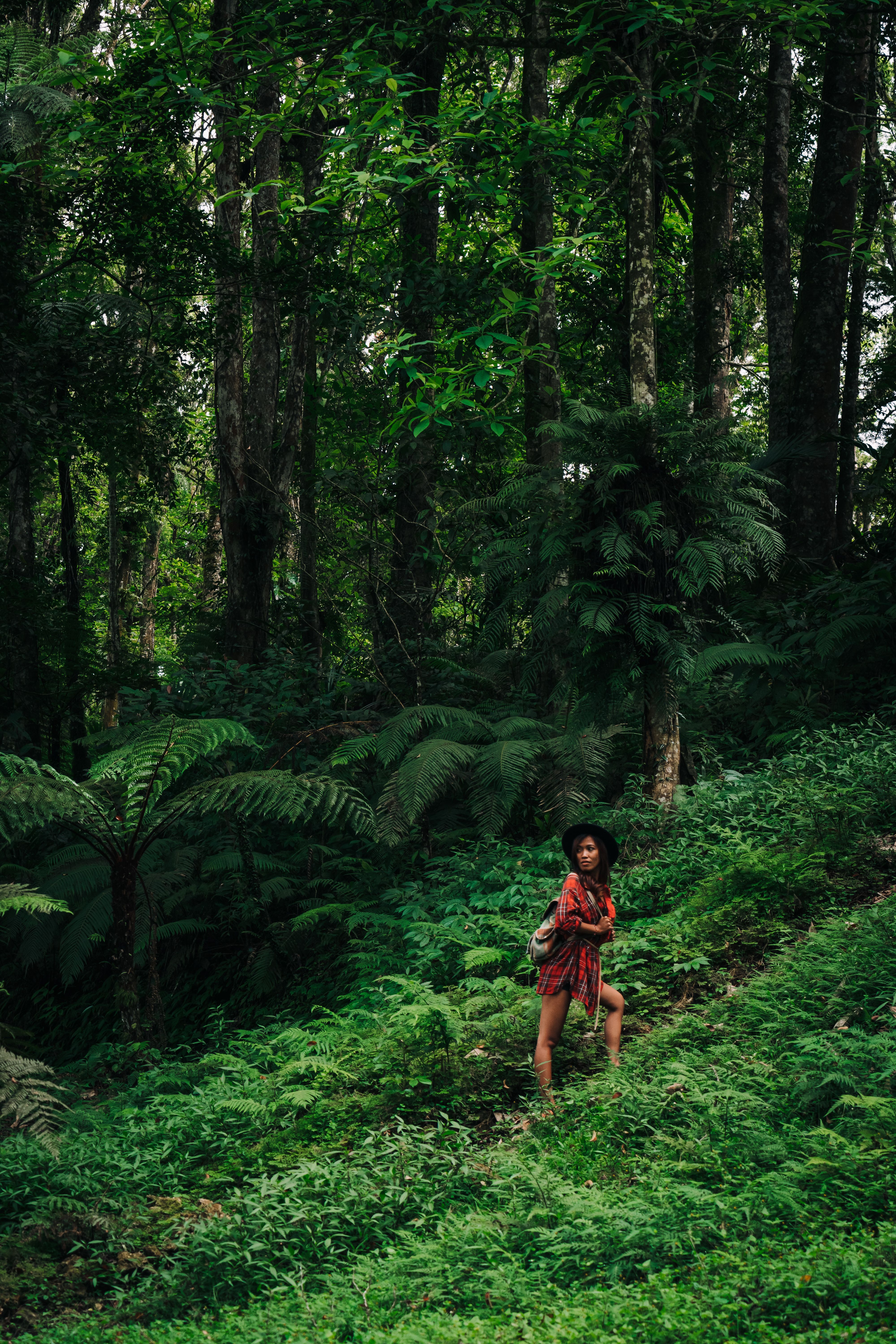 A Woman Standing in the Middle of the Rainforest · Free Stock Photo