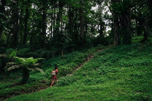 A Woman Walking in the Middle of the Rainforest