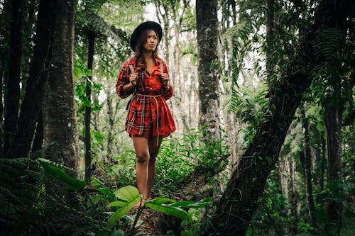 Immagine gratuita di alberi, bellissimo, camicia a quadri