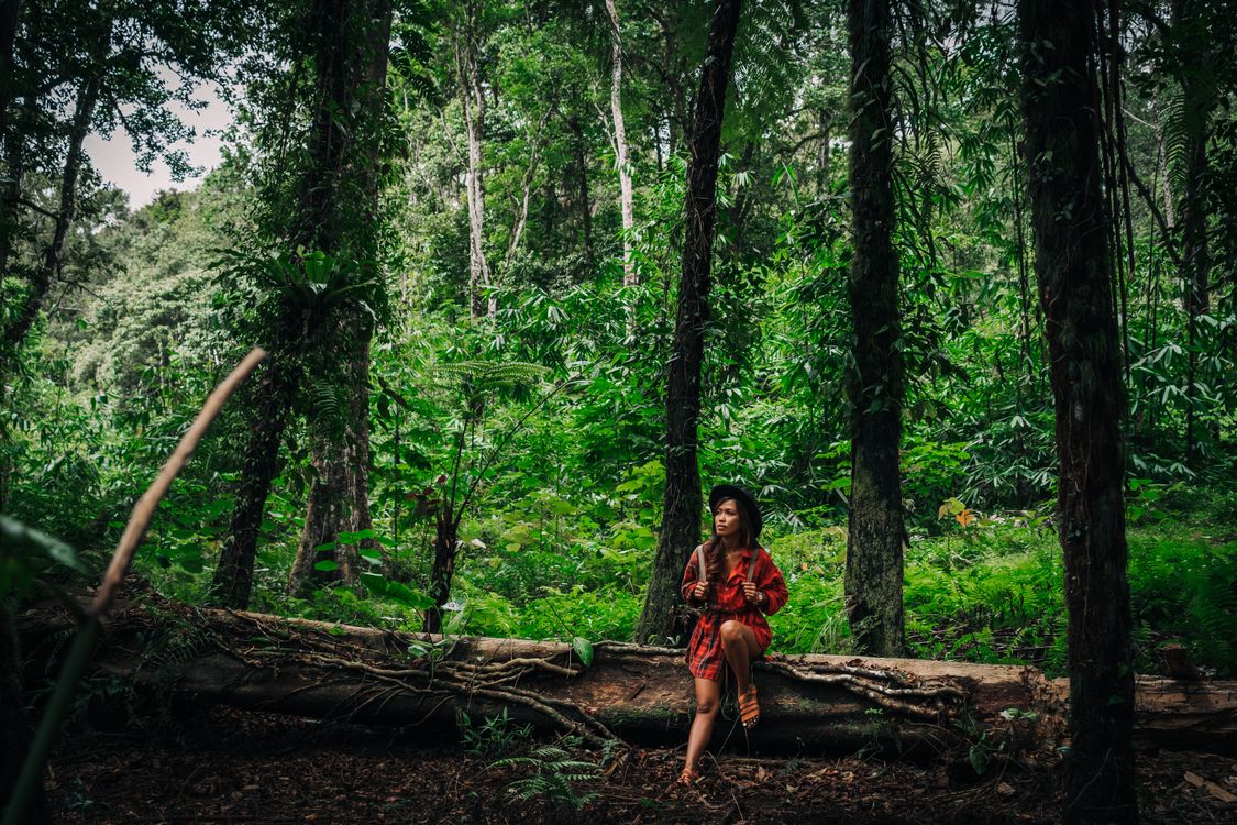 Logging Woman Tree Fallen Tree Log