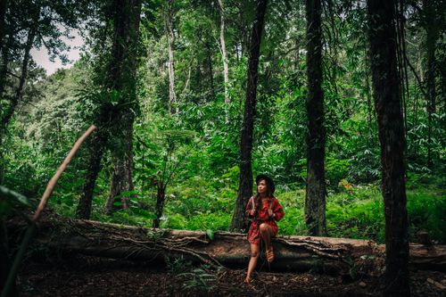 Free A stylish woman sitting on a tree log in a serene forest, surrounded by lush greenery and tall trees. Stock Photo