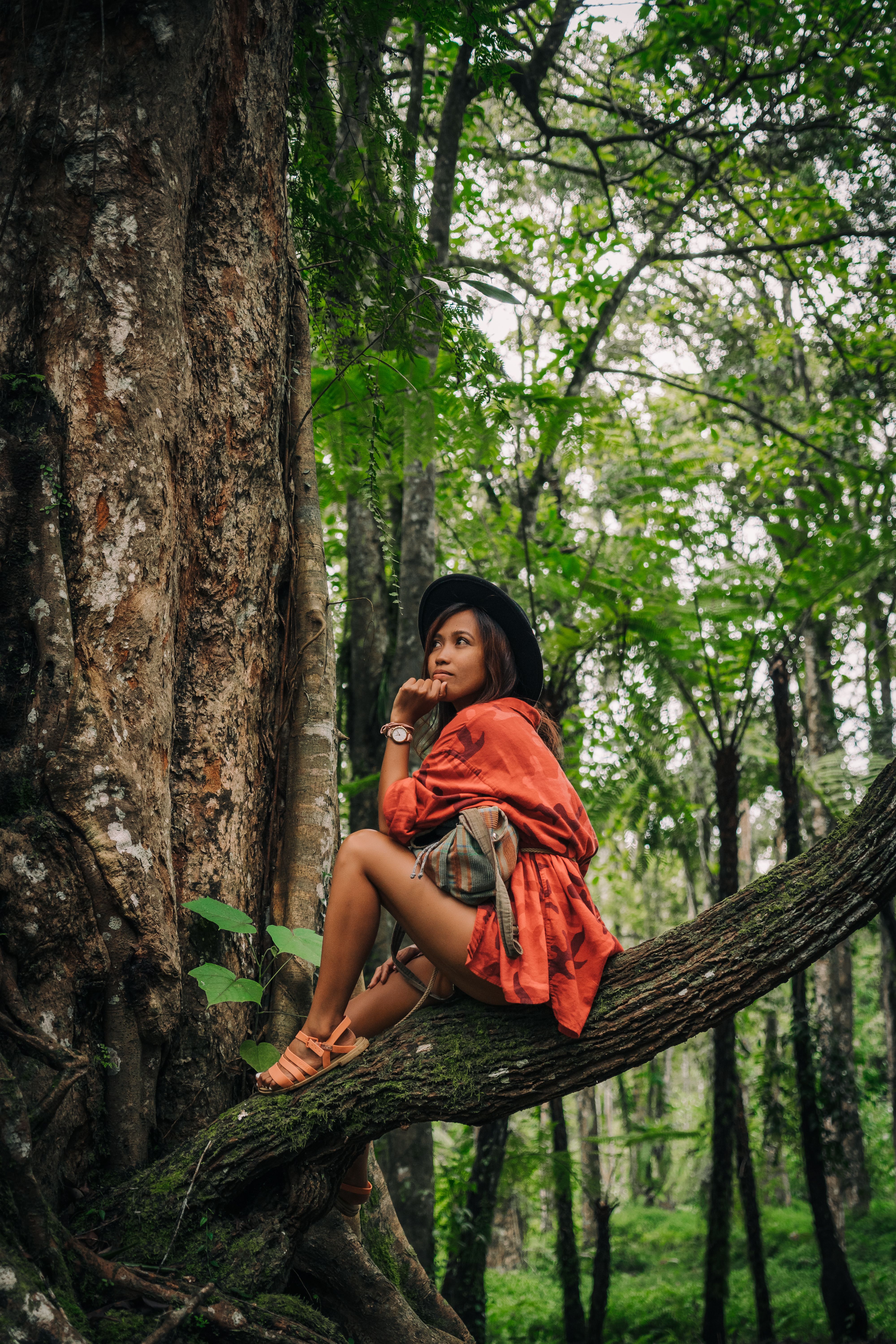 Photo of Woman Sitting Under a Tree · Free Stock Photo