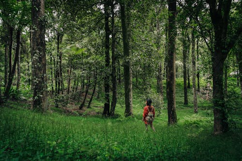 Free Woman Standing in The Forest Stock Photo