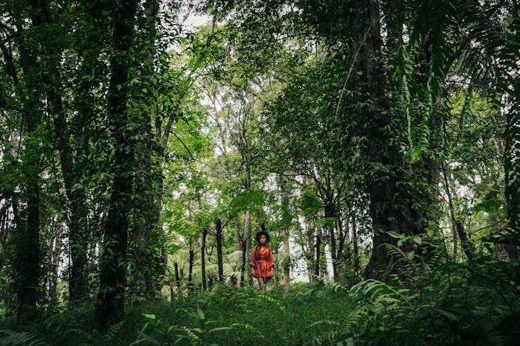 Woman Hiking At The Forest