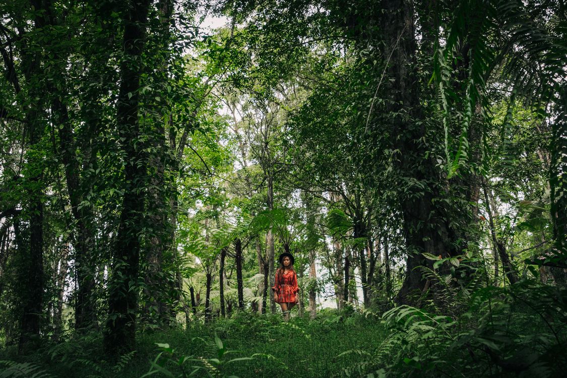 Woman Hiking at the Forest · Free Stock Photo