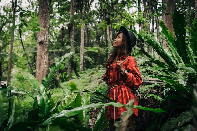 Woman In Red Long Sleeves Looking Up On Forest Trees