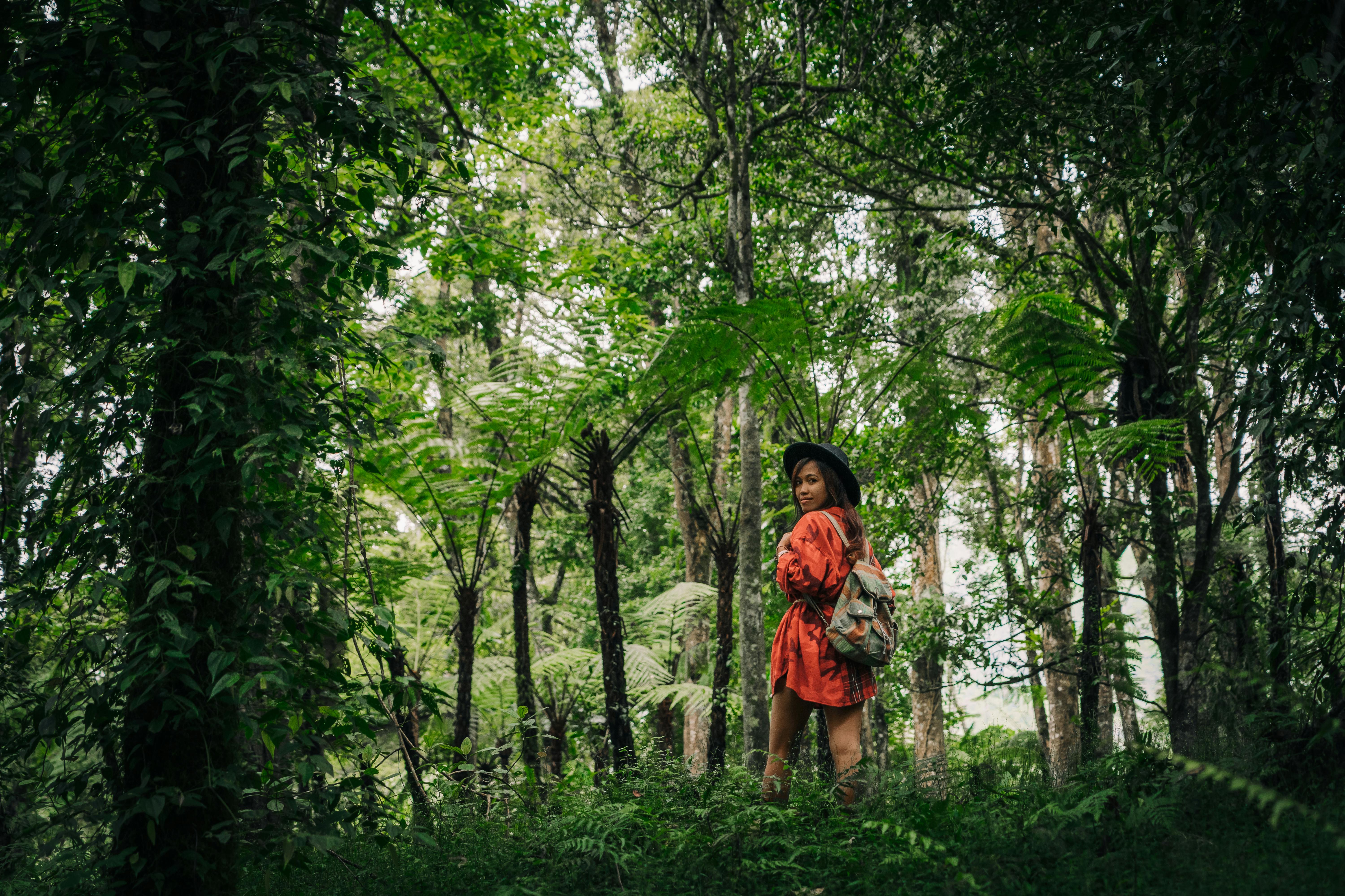 Unlock Your Green Getaway: The ULTIMATE 2026 Guide to Sustainable Hotel Booking Platforms!