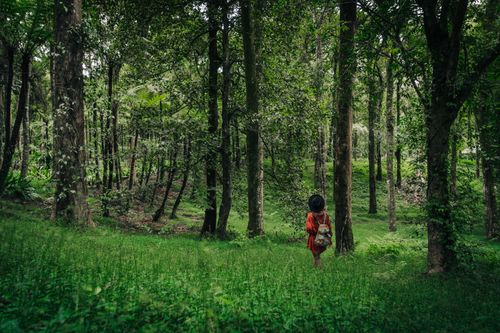 Free Woman with backpack exploring dense green forest, embracing nature and adventure. Stock Photo