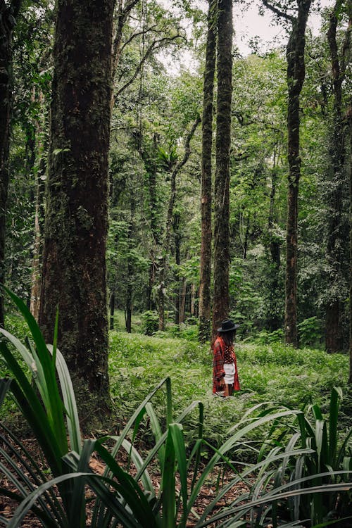 A Woman Standing in the Middle of the Rainforest