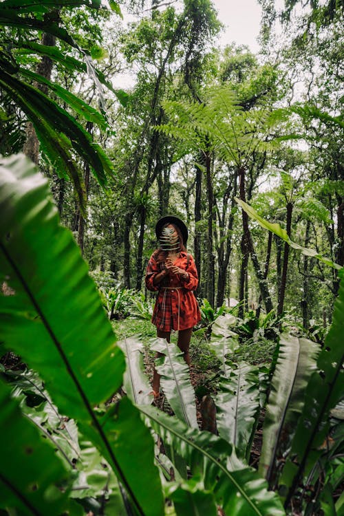 A Woman in Red Dress Standing in the Middle of the Rainforest