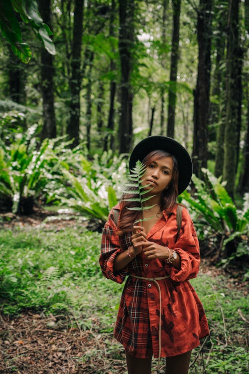 Foto stok gratis di luar rumah, gaun merah, hutan hujan