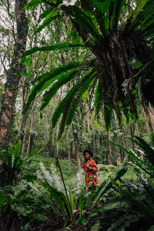 A Woman in Red Dress Standing in the Middle of the Rainforest