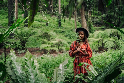 Gratis stockfoto met avontuur, Aziatische vrouw, bossen