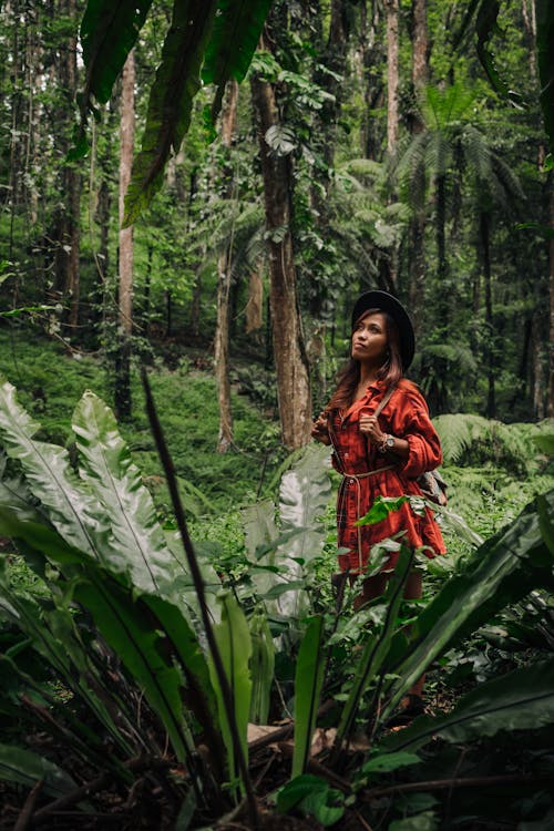 Foto stok gratis alam, di luar rumah, gaun merah