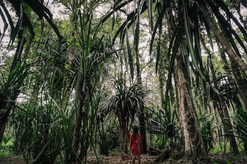 Vrouw In Oranje Jurk Die Zich In Het Midden Van Het Bos Bevindt