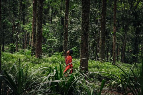 Free An Asian woman in a red outfit enjoying a serene moment in a lush green forest. Stock Photo