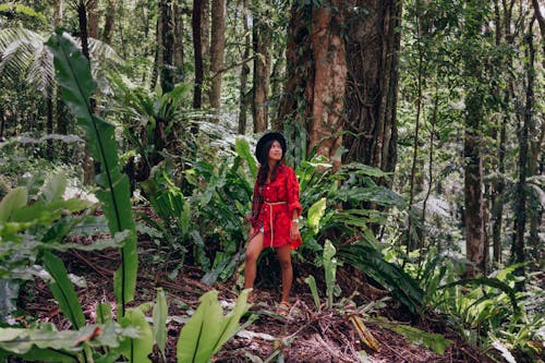 A Woman in Red Dress Standing in the Middle of the Rainforest