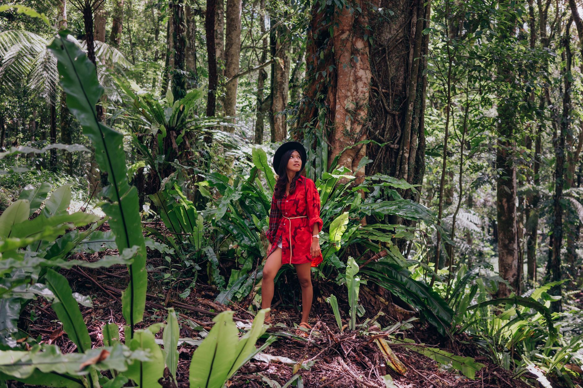 An Asian woman in a red dress explores a lush tropical rainforest, surrounded by greenery and towering trees.