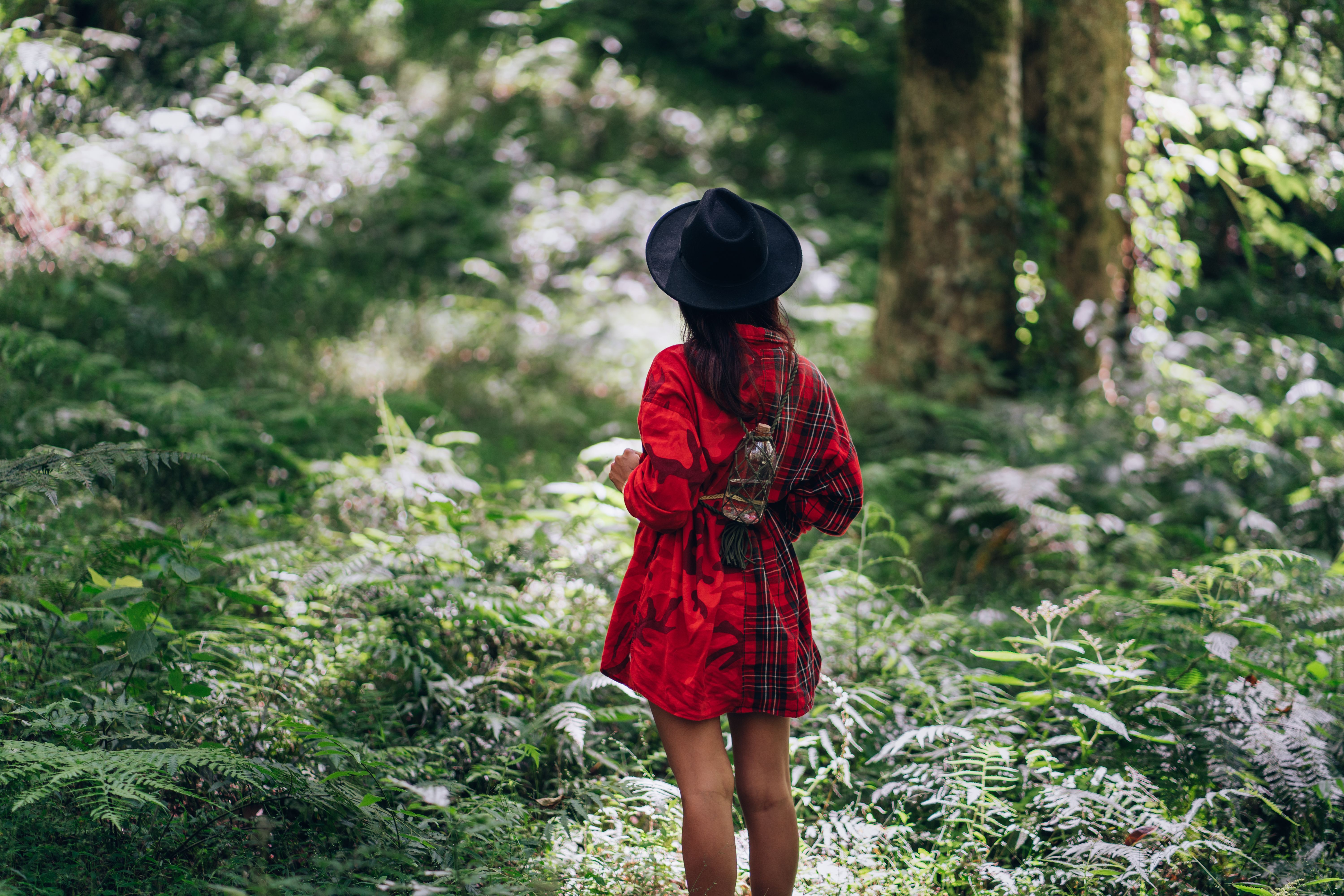 Woman Looking Back While Walking in the Forest · Free Stock Photo