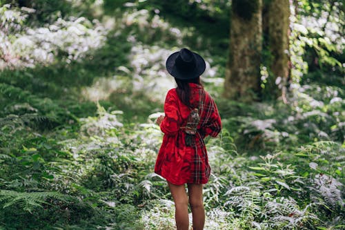 Free Woman in Red Long Sleeves Standing Near the Forest Trees Stock Photo