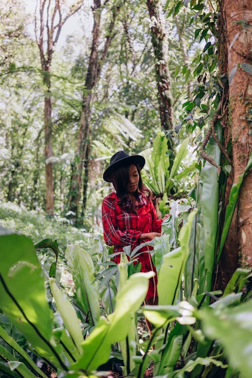 Woman in Red and Black Plaid Dress Shirt Standing beside Green Plants