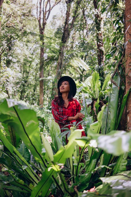 Kostnadsfri bild av djungel, gröna löv, kvinna