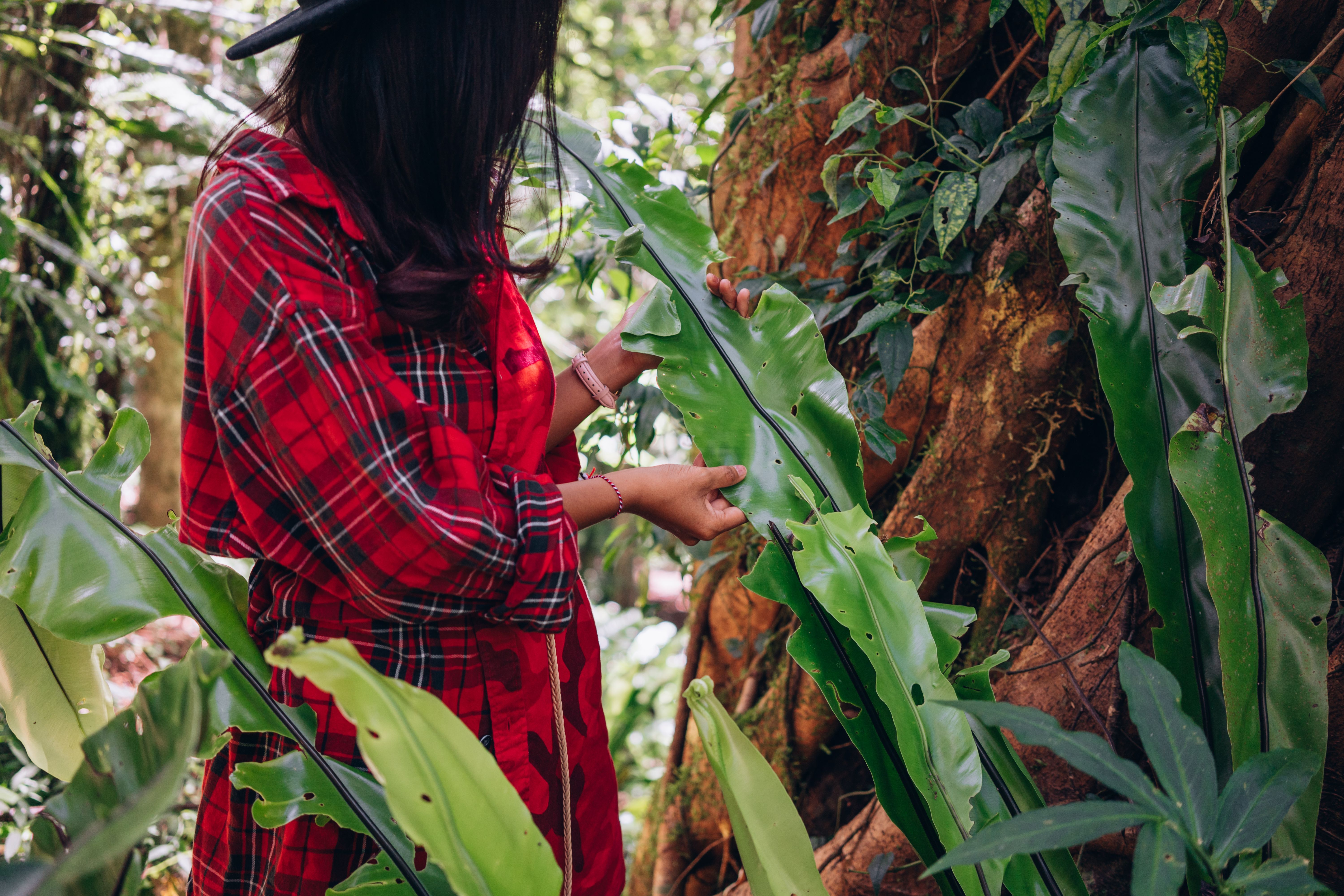 A woman in a red plaid shirt explores vibrant jungle foliage, capturing a sense of adventure.