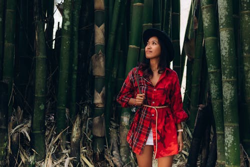Woman in Red and Black Plaid Dress Standing Beside Bamboo Tree