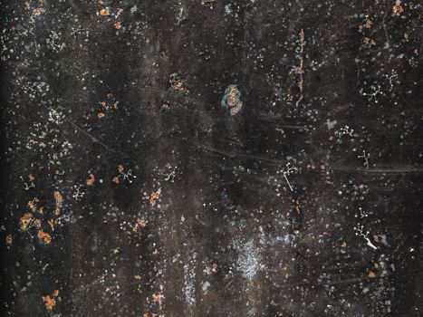 Detailed photo showing textured surface with various speckles and weathered look.