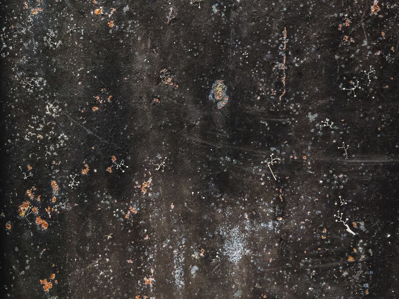 detailed photo showing textured surface with various speckles and weat