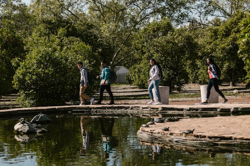 College Students Walking Beside a Pond