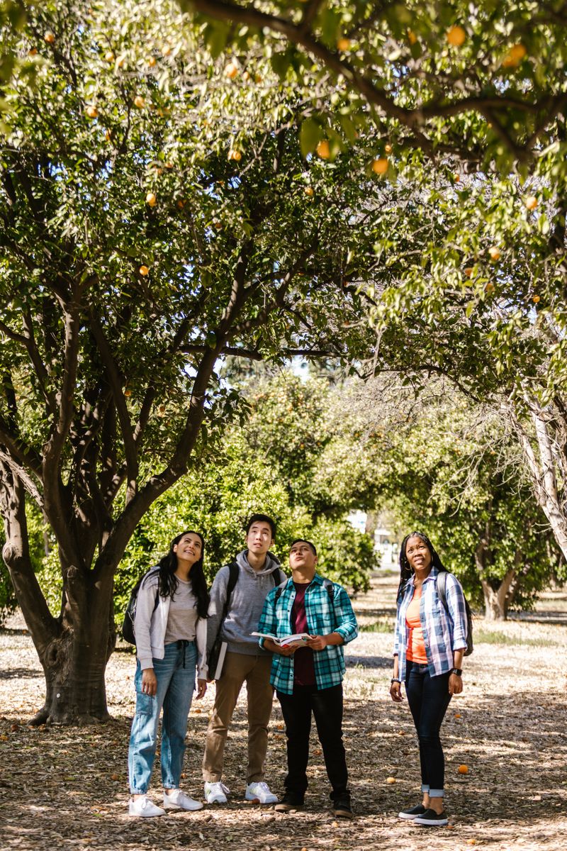 A diverse group of students exploring a tree-filled park, embodying teamwork and outdoor education.