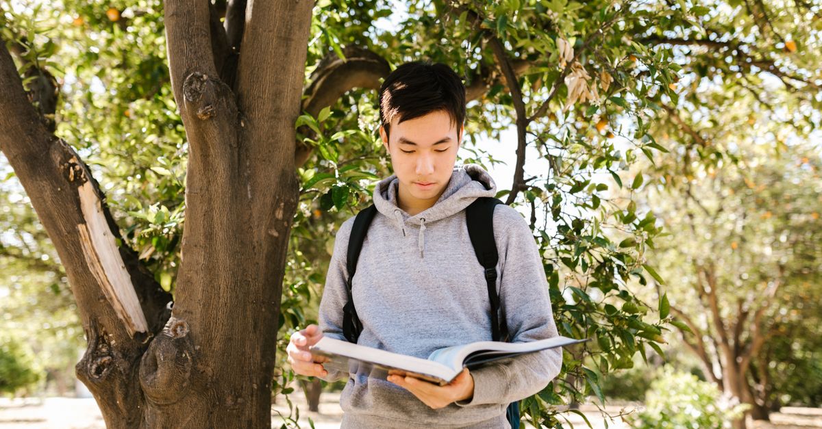 Cómo Aprender Español a Través de la Literatura: Estrategias Efectivas