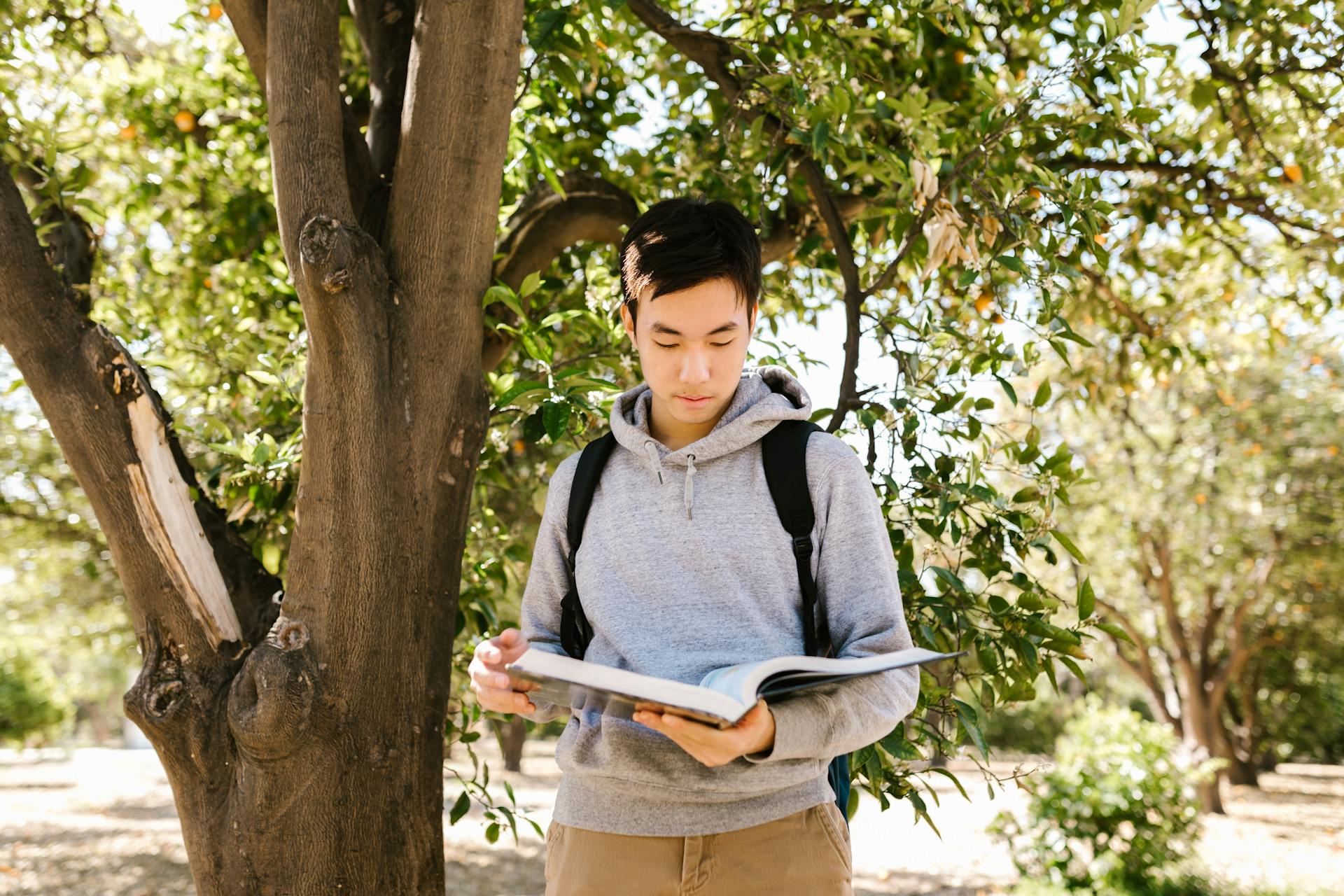 Asian college student reading a book under a tree on a sunny day, wearing a hoodie and backpack.