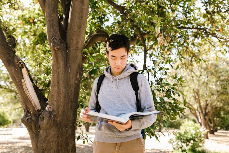 Man Reading A Book Under The Tree