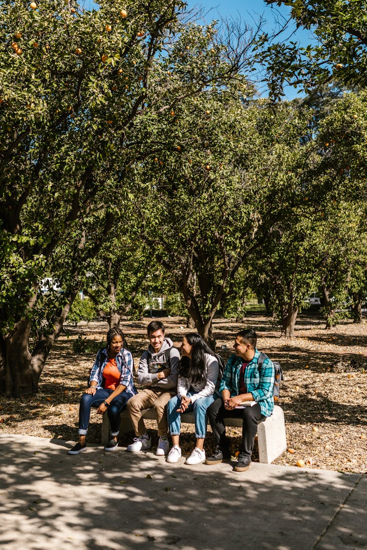 Friends Hanging Out And Sitting On The Bench