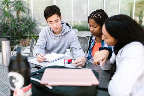 Free Diverse group of students collaborating and studying outdoors on a sunny day. Stock Photo