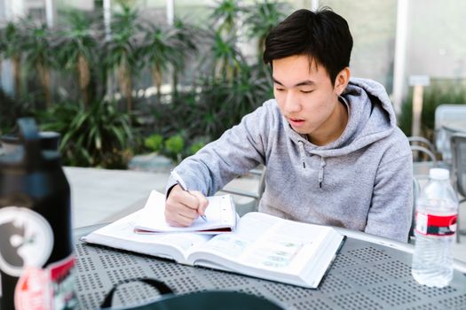 Asian student in gray hoodie writing in notebook outdoors, studying for university courses.