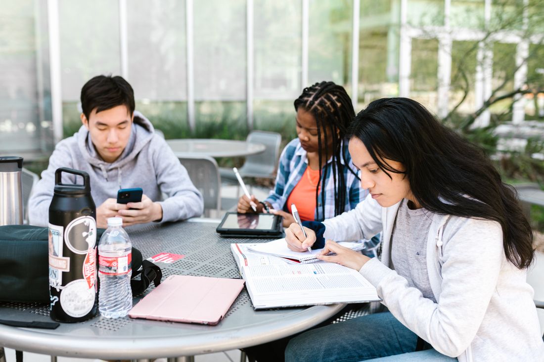 Groupe de jeunes adultes étudiant ensemble en extérieur