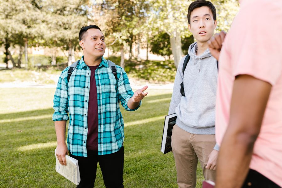 Diverse students interacting on a sunny university campus lawn