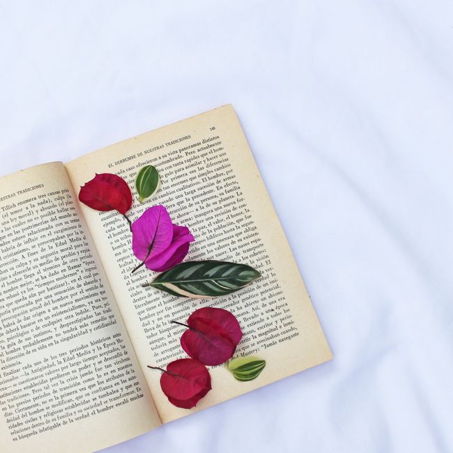 Open book with vibrant leaves and petals on a white background, creating a minimalistic and artistic flat lay.