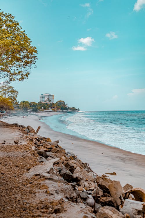 Brown Rocks Near the Seashore 