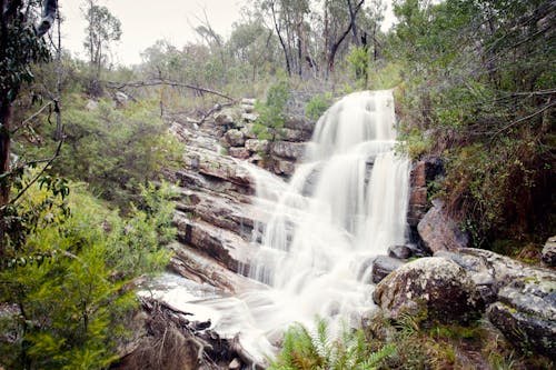 Foto profissional grátis de ao ar livre, cachoeira, floresta