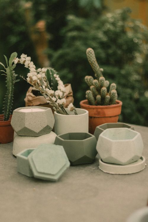 Free Stylish geometric pots with cacti and flowers on an outdoor surface, perfect for garden decor. Stock Photo