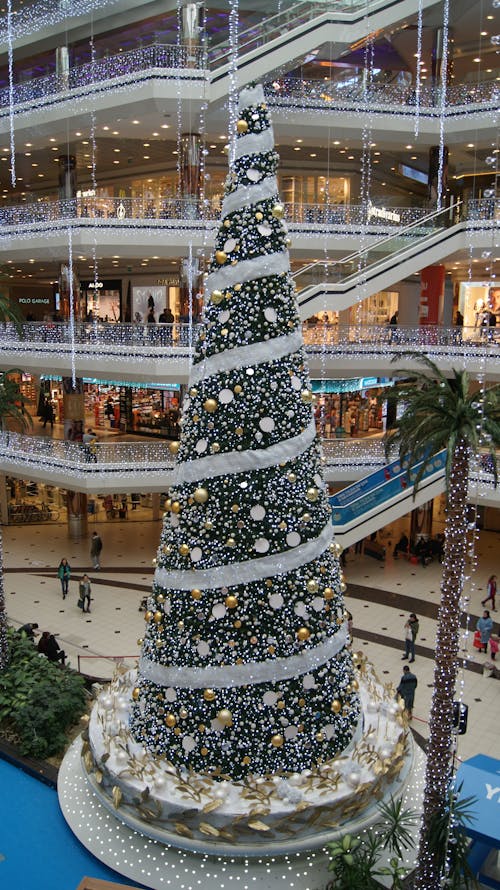 Free stock photo of christmas, christmas tree, istanbul