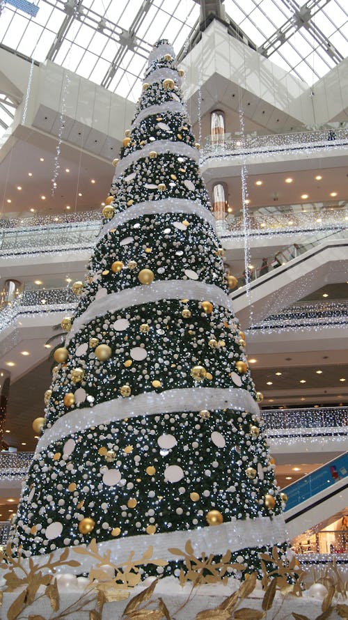 Free stock photo of christmas, christmas tree, istanbul