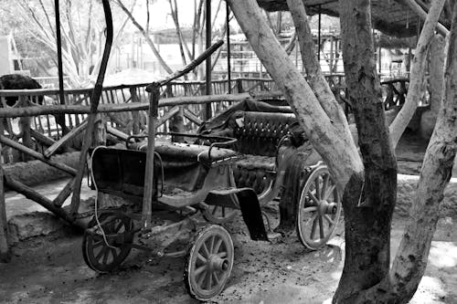 Free stock photo of cart, tree, urban decay