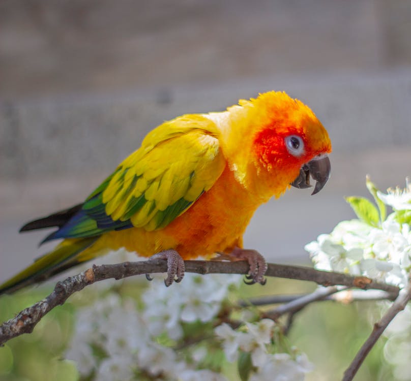 Abstract representation of AI processing data or sound waves