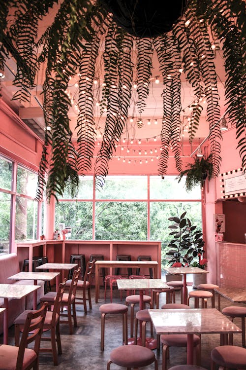 The Interior of a Coffee Shop