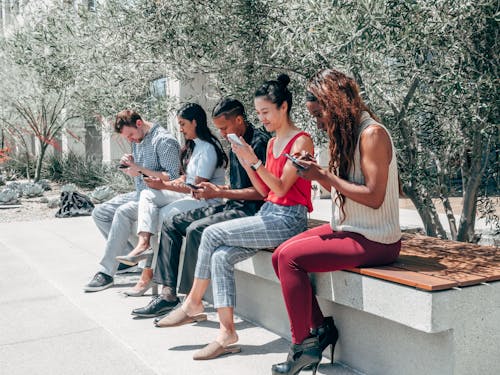 Free People Using Their Smartphones while Sitting on a Bench Stock Photo